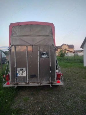Vand remorca transport cai . - imagine 4