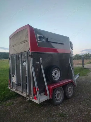 Vand remorca transport cai . - imagine 9