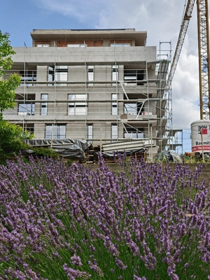 Ansamblu rezidential nou, apartament bine impartit - imagine 4