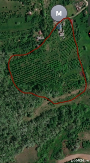 Vând casă 2,70 Ha - imagine 5
