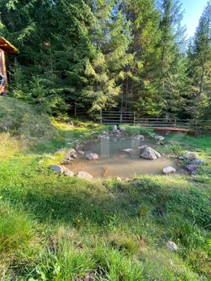 Afacere la cheie pensiune complet utilata și mobilata,energie verde, natura pura - imagine 6