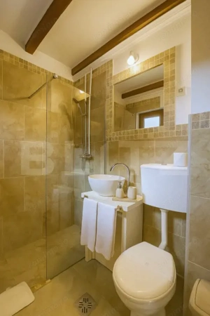 Afacere la cheie pensiune complet utilata și mobilata,energie verde, natura pura - imagine 20