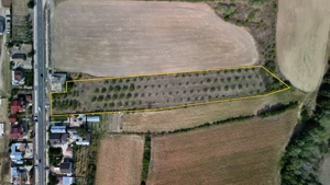 Vanzare teren 9654 mp, deschidere 27m, comuna Dobra, sat Dobra - imagine 4