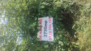 Vând teren comuna Mihăești, județul Vâlcea - imagine 2