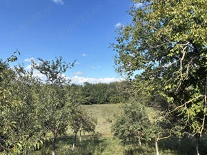 Vânzare Teren Movila  Niculesti