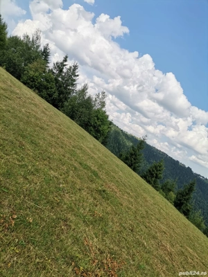 Teren de vânzare  - imagine 4