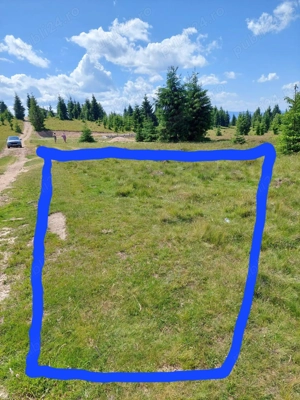 Vand teren extravilan in Belis - imagine 4