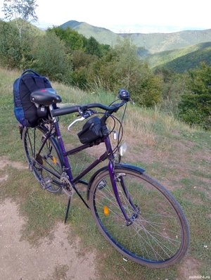 Bicicleta Japonia city trekking medie