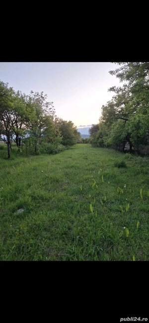 vand teren intravilan