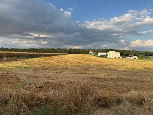 Teren de vanzare Moara Vlasiei