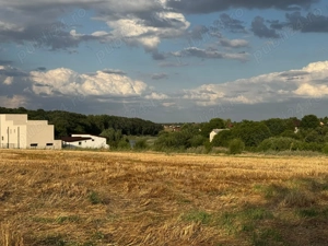 Teren de vanzare Moara Vlasiei - imagine 6