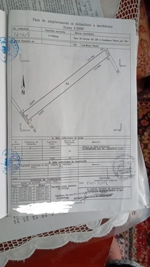 Teren de vanzare Moara Vlasiei - imagine 8