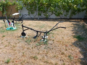 prasitori  vechi pentru decor 