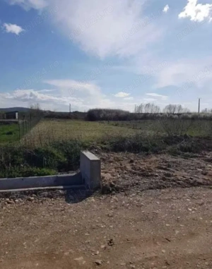 Teren în Alparea ,Bihor 784 m2