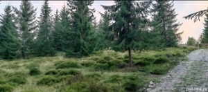 Teren de vânzare - imagine 4