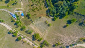 Teren extravilan 6,014mp | Holbav | BRASOV | COMISION 0| - imagine 14