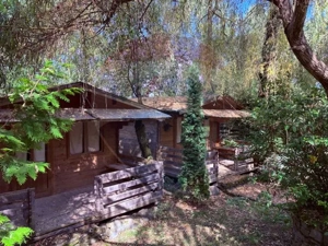 Ansamblu de 7 Căsuțe de Vacanță, Ocna Șugatag - imagine 2