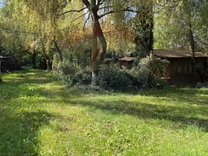 Ansamblu de 7 Căsuțe de Vacanță, Ocna Șugatag - imagine 9