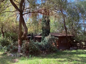 Ansamblu de 7 Căsuțe de Vacanță, Ocna Șugatag - imagine 10