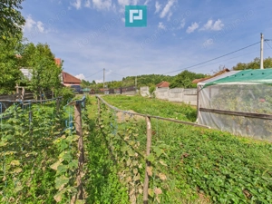 Casă și centru comercial, în localitatea Lazuri - imagine 12