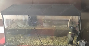 Acvariu 35 l aproape nou - imagine 2