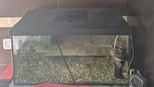 Acvariu 35 l aproape nou - imagine 3