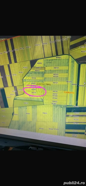 teren extravilan de vanzare Tomnatic jud.Timis