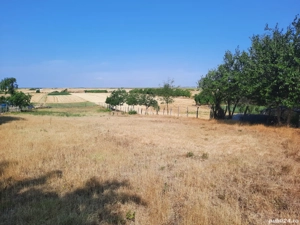 teren intravilan numai 35 lei m2 - imagine 3