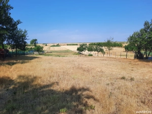 teren intravilan numai 35 lei m2 - imagine 6