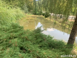 Vind casa de vacanta cu trei casute si pescarie