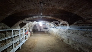 Comision 0% Casa superba in marginimea Sibiului Apoldu de Jos - imagine 9