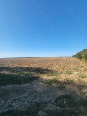 Investiție ! Teren  unicat , S= 12500 mp , Pădurea Comana , D = 52 ml la Drum Județean  - imagine 2  Investiție ! Teren  unicat , S= 12500 mp , Pădurea Comana , D = 52 ml la Drum Județean  - imagine 2