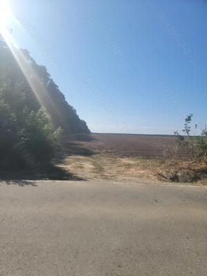 Investiție ! Teren  unicat , S= 12500 mp , Pădurea Comana , D = 52 ml la Drum Județean  - imagine 3  Investiție ! Teren  unicat , S= 12500 mp , Pădurea Comana , D = 52 ml la Drum Județean  - imagine 3