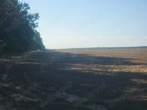 Investiție ! Teren  unicat , S= 12500 mp , Pădurea Comana , D = 52 ml la Drum Județean  - imagine 5  Investiție ! Teren  unicat , S= 12500 mp , Pădurea Comana , D = 52 ml la Drum Județean  - imagine 5