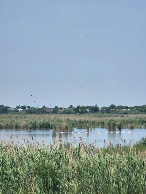 Investiție ! Teren  unicat , S= 12500 mp , Pădurea Comana , D = 52 ml la Drum Județean  - imagine 8  Investiție ! Teren  unicat , S= 12500 mp , Pădurea Comana , D = 52 ml la Drum Județean  - imagine 8