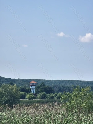 Investiție ! Teren  unicat , S= 12500 mp , Pădurea Comana , D = 52 ml la Drum Județean  - imagine 9  Investiție ! Teren  unicat , S= 12500 mp , Pădurea Comana , D = 52 ml la Drum Județean  - imagine 9