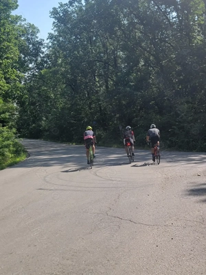 Investiție ! Teren  unicat , S= 12500 mp , Pădurea Comana , D = 52 ml la Drum Județean  - imagine 10  Investiție ! Teren  unicat , S= 12500 mp , Pădurea Comana , D = 52 ml la Drum Județean  - imagine 10