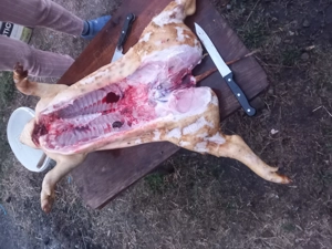 Buni de băgat la cuptor, la comandă îi și pregătim  - imagine 4