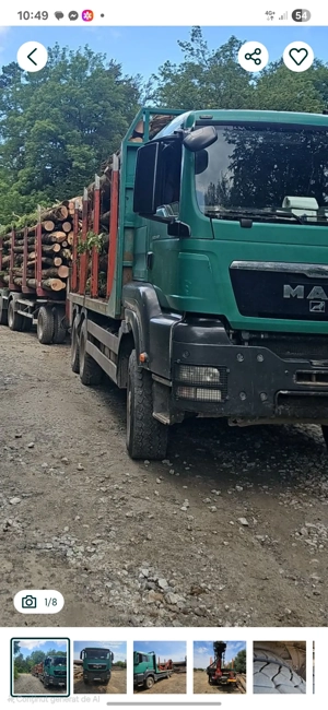 șofer profesionist macara forestieră 