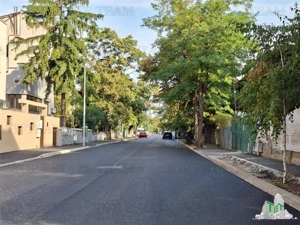 Vanzare apartament 4 camere, suprafata generoasa, Domenii, Agronomie - imagine 11