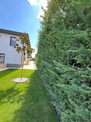 Vilă cu 7 camere, P+E, Piscină, 1102mp teren, Dealuri, Oradea. - imagine 16