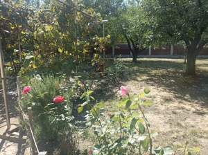 Vilă- p+m- zona Zavoi Deva - imagine 14