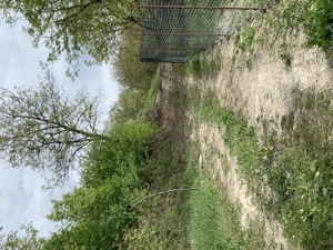 Teren extravilan Moristi  - imagine 3