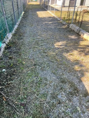 EXCLUSIVITATE! Casă individuală, 120 mp, Gilău - imagine 6