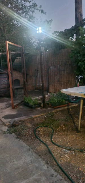  Casă cu suflet și spațiu verde   ideală pentru familie sau retreat urban! - imagine 5