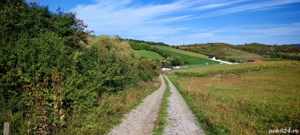 Teren de vanzare, strada Valea Stanelor, BISTRITA - imagine 3