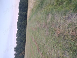 Vând Teren extravilan in Popesti  - imagine 3