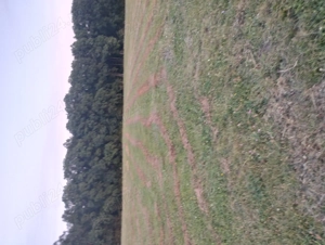 Vând Teren extravilan in Popesti  - imagine 2