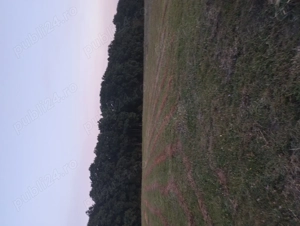 Vând Teren extravilan in Popesti  - imagine 4