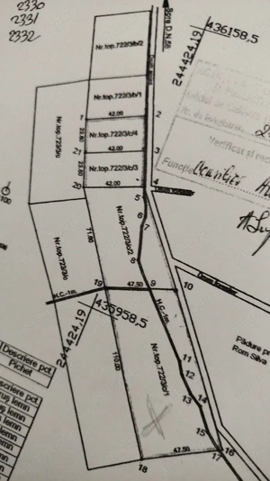 4 parcele a 950 mp fiecare - Bocsa Romana, Caras-Severin - imagine 2